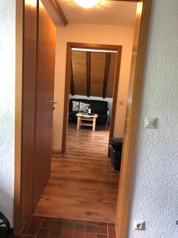 Apartamento Haus Am Scheibenfelsen St. Blasien Exterior foto