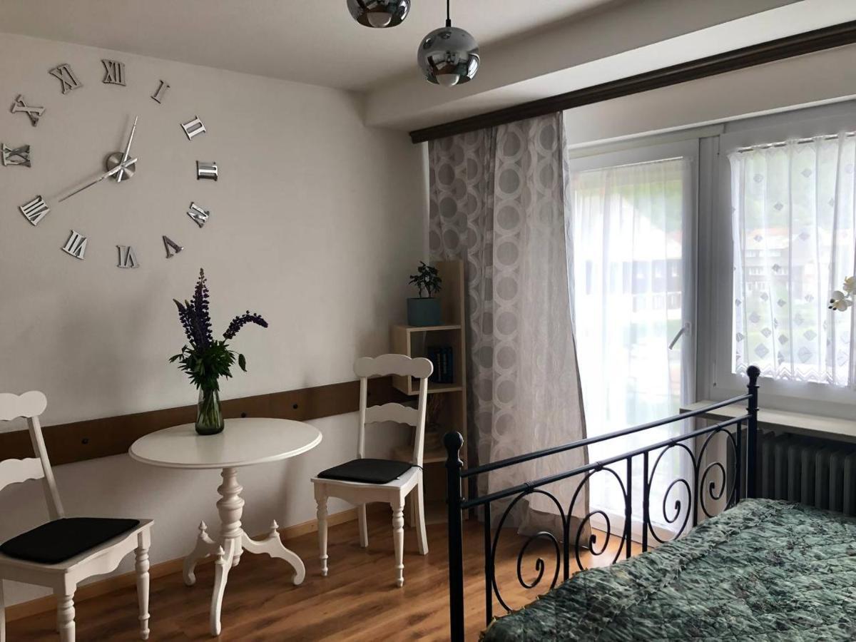 Apartamento Haus Am Scheibenfelsen St. Blasien Exterior foto