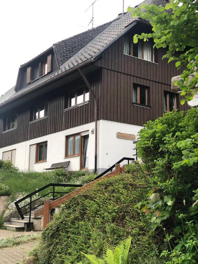 Apartamento Haus Am Scheibenfelsen St. Blasien Exterior foto