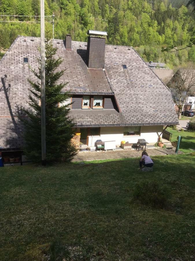 Apartamento Haus Am Scheibenfelsen St. Blasien Exterior foto
